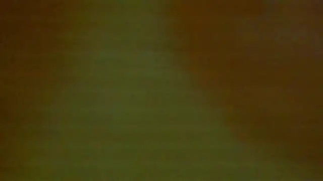shanel taylor online show from 12.18.24