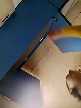 Snapshot of Gussie_Bridie chatting on 10.24.25 Gussie Bridie online show from 10.24.25