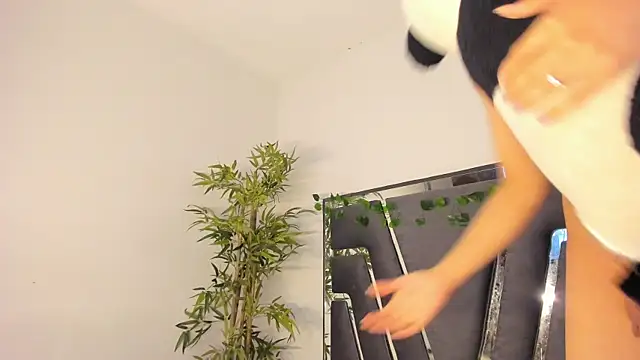 Black Rose2 online show from 02.08.25