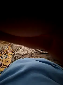 Snapshot of mehdi_haway chatting on 10.31.25 mehdi haway online show from 10.31.25