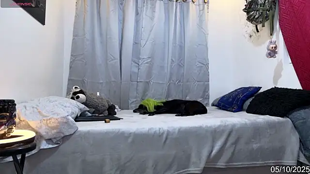 Snapshot of alejo_cute chatting on 10.06.25 alejo cute online show from 10.06.25