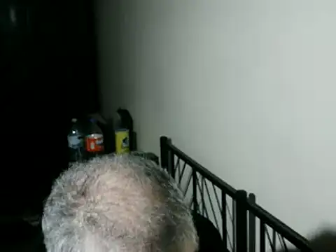 100Tauros online show from 02.05.26