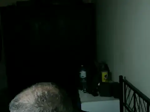 100Tauros online show from 04.17.26