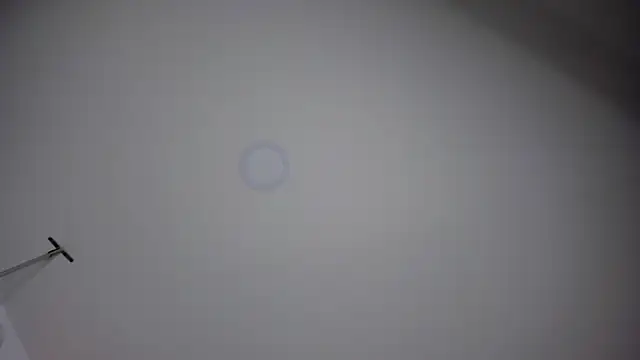 ChloeConnorr online show from 12.28.24