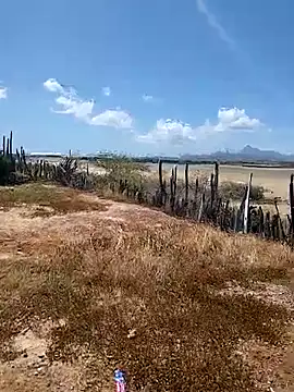 daniel traviexxxo online show from 10.12.25