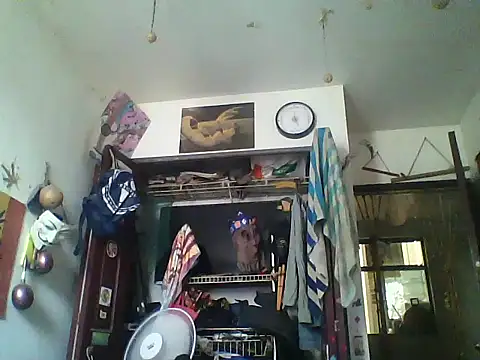 LECHEBALLS online show from 05.05.26