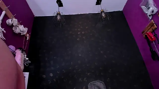 Snapshot of Alexa_Slave chatting on 10.11.25 Alexa Slave online show from 10.11.25