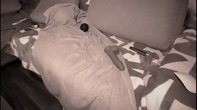 Snapshot of swissMen_DE chatting on 03.02.25 swissMen DE online show from 03.02.25