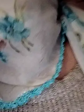  BaHaR  online show from 09.21.25