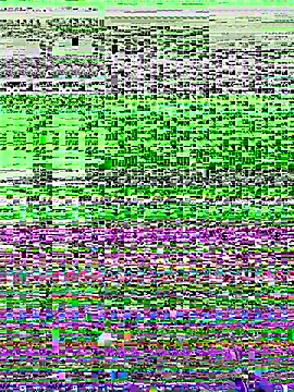 NDith online show from 12.02.25