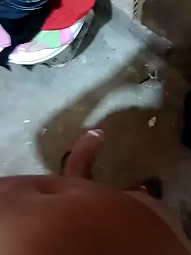 RS1995Poa1 online show from 02.07.25