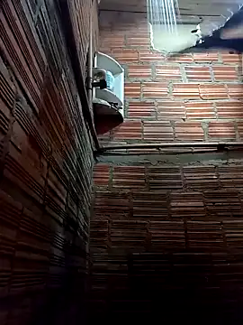 RS1995Poa1 online show from 02.22.25