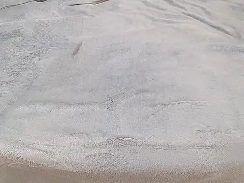 Tequila Bby online show from 12.18.24