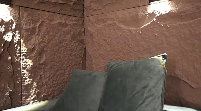 Snapshot of DannSaenz chatting on 03.01.25 DannSaenz online show from 03.01.25