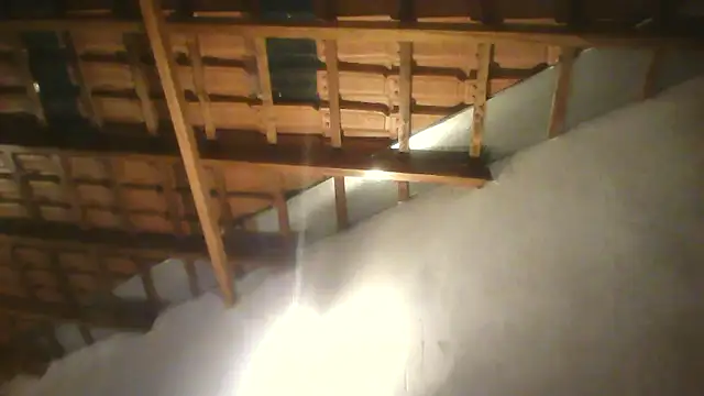 Sarahmonesexy online show from 09.15.25