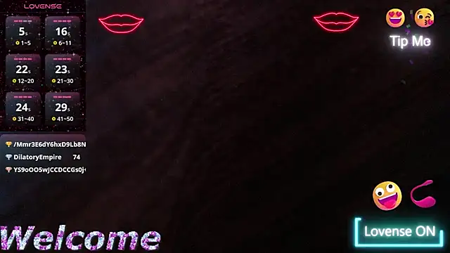 Snapshot of Lina10 chatting on 02.01.25 Lina10 online show from 02.01.25