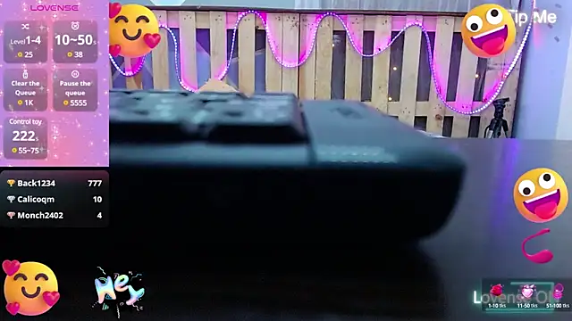 Snapshot of Lina10 chatting on 03.01.25 Lina10 online show from 03.01.25