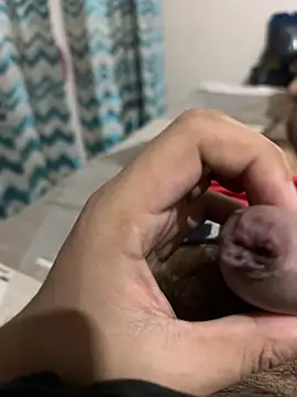 thecockybouy online show from 03.01.25