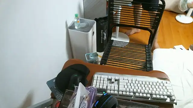 Stellan 0412 online show from 02.13.26