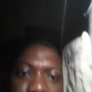 wlammi ptr online show from 02.10.26