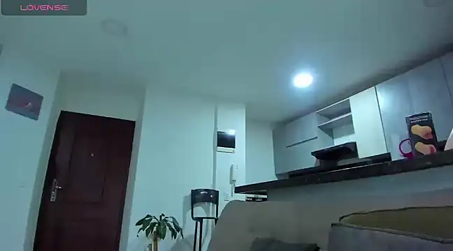 Snapshot of Alexander_Martines chatting on 02.19.25 Alexander Martines online show from 02.19.25