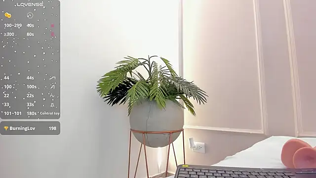 Mariapettit online show from 12.14.24
