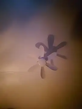 Dorset8360 online show from 11.18.25