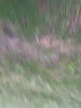 Vanesskaa online show from 04.01.26