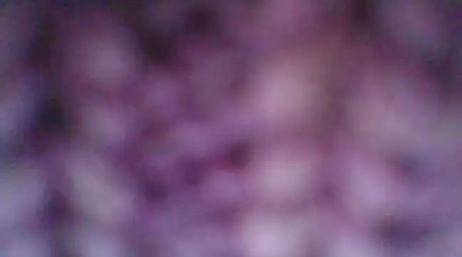 Snapshot of mia_cooper_24 chatting on 12.30.24 mia cooper 24 online show from 12.30.24