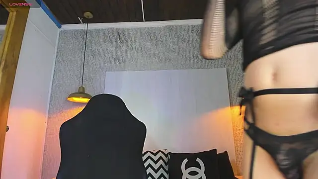 Snapshot of VladHellsing4 chatting on 01.17.26 VladHellsing4 online show from 01.17.26