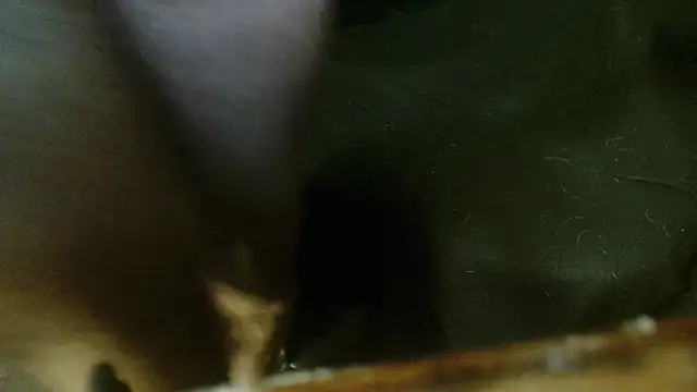 Snapshot of Gigadickman chatting on 10.04.25 Gigadickman online show from 10.04.25