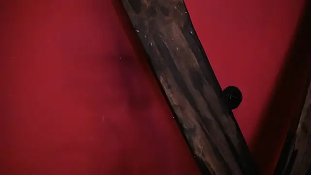 EVADANGERBDSM online show from 02.14.25