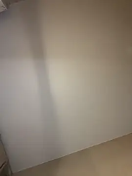 GraceTorrez online show from 10.28.25