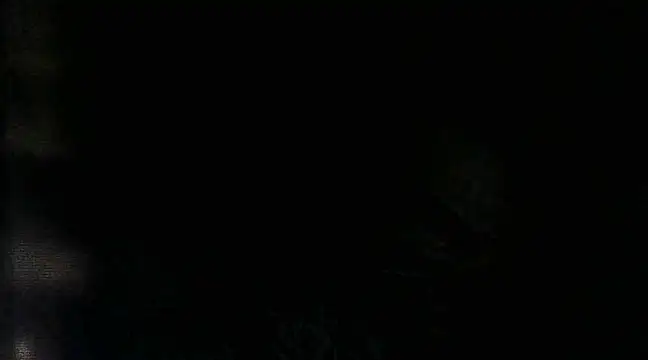 RenziTatte online show from 03.22.25