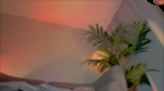  cherry bloss  online show from 03.21.25