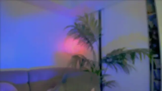  cherry bloss  online show from 10.08.25