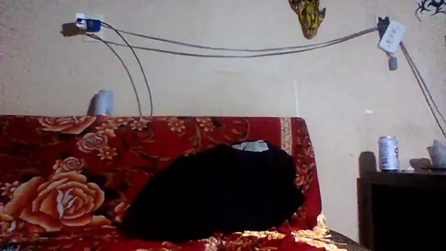 sellvageria online show from 02.26.26