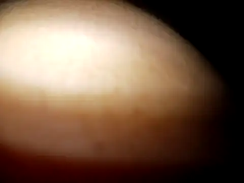 Cheny26 online show from 04.08.26