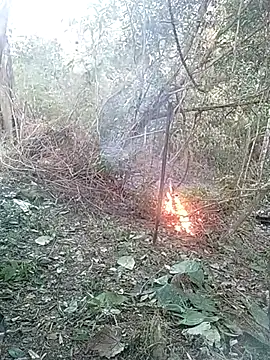 andreu mature online show from 02.26.25