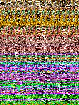 mohra30 online show from 11.01.25