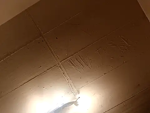 Timbojan28 online show from 03.27.26