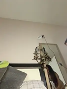 SOFIASWEETSECRETT online show from 03.28.26