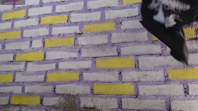 Snapshot of Lukas_strong chatting on 11.08.25 Lukas strong online show from 11.08.25