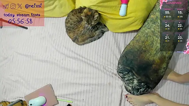 ixsi online show from 10.23.25