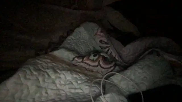 loveofbea online show from 10.23.25