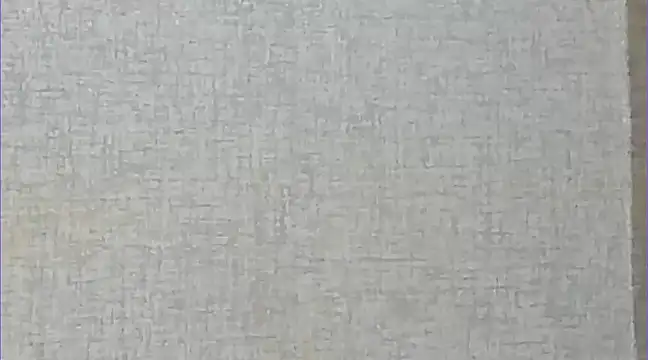 Ricardogo19 online show from 12.27.24