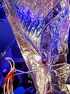 gurlnips online show from 03.21.25