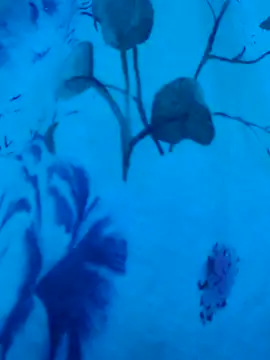 gurlnips online show from 09.19.25