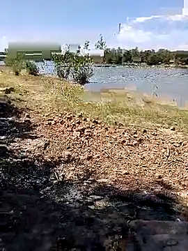 Snapshot of BaseDick chatting on 09.24.25 BaseDick online show from 09.24.25