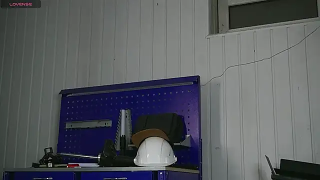 Snapshot of dustyn_fox chatting on 01.17.26 dustyn fox online show from 01.17.26